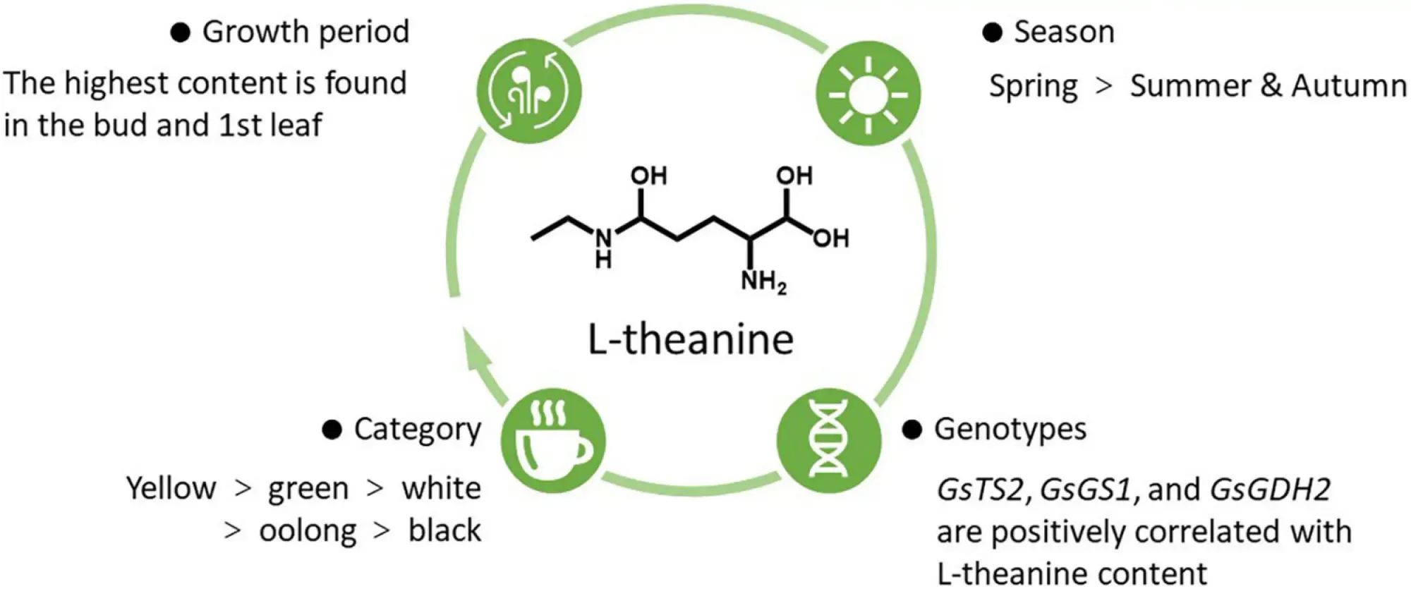 organic-L-Theanine-chart